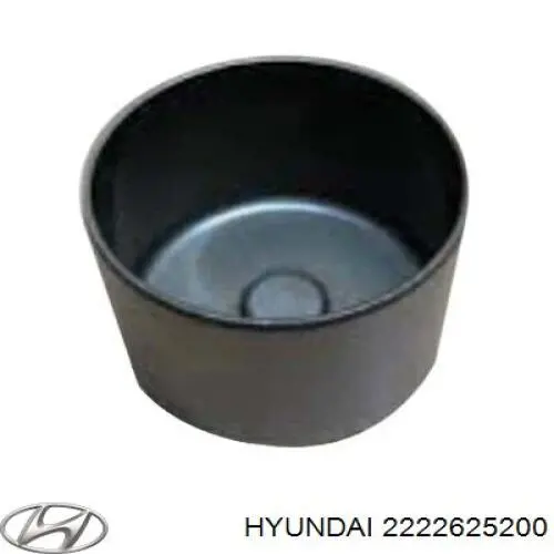 2222625200 Hyundai/Kia 