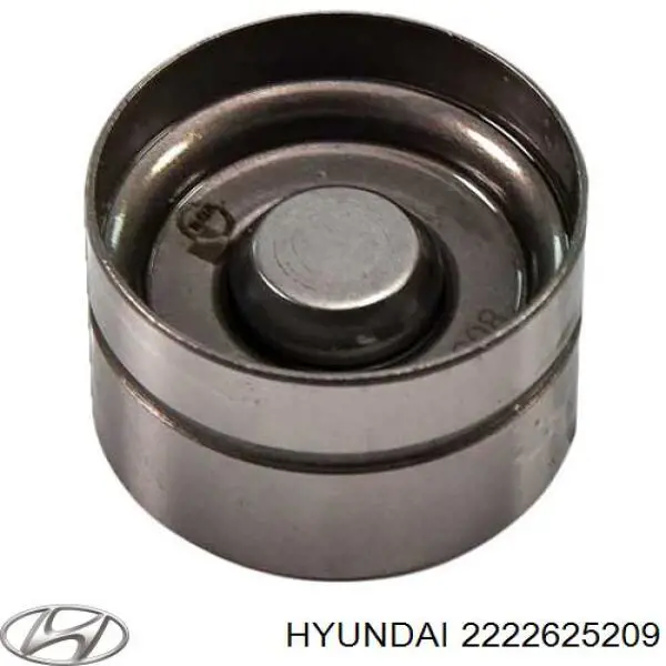 2222625209 Hyundai/Kia