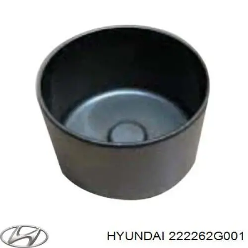 222262G001 Hyundai/Kia гидрокомпенсатор