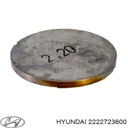  2222723600 Hyundai/Kia