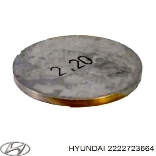  2222723664 Hyundai/Kia