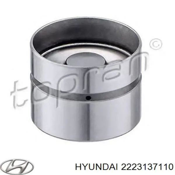 Гидрокомпенсатор 2223137110 Hyundai/Kia