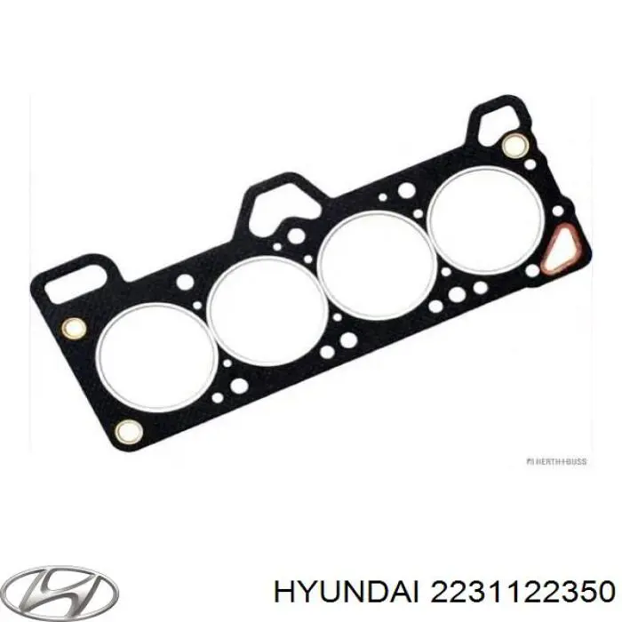 Прокладка ГБЦ 2231122350 Hyundai/Kia