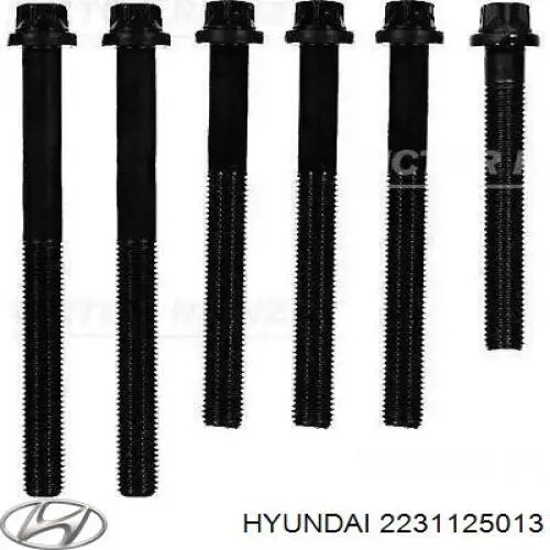 Купить 2231125013 Hyundai/Kia Прокладка ГБЦ