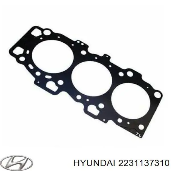 2231137310 Hyundai/Kia прокладка головки блока цилиндров (гбц левая)