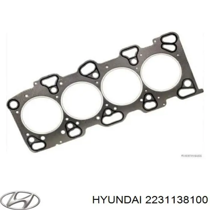 2231138100 Hyundai/Kia