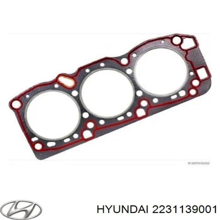  2231139001 Hyundai/Kia