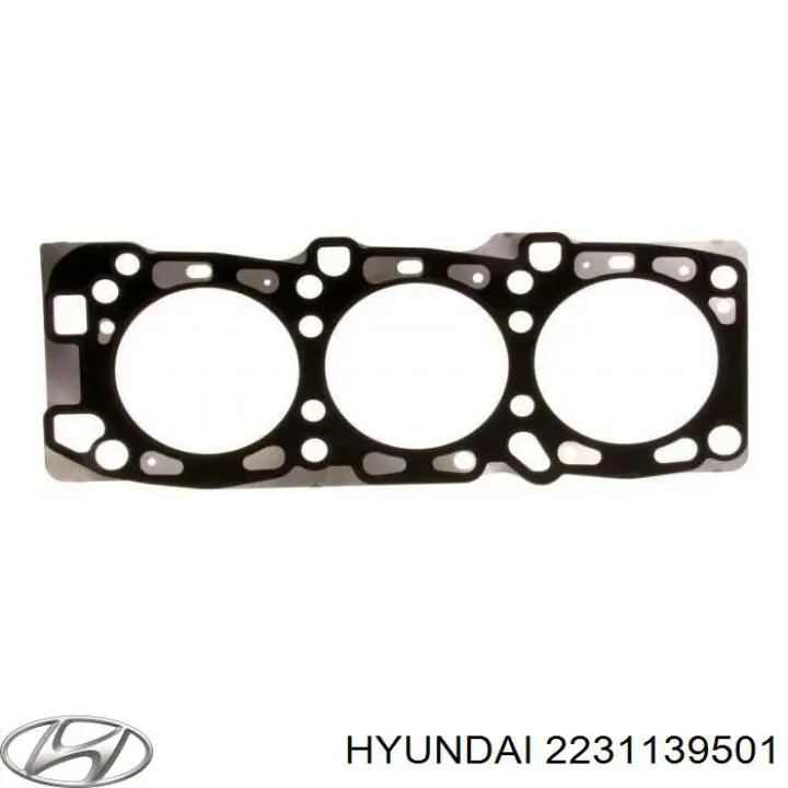 Прокладка головки блока цилиндров (ГБЦ), правая Hyundai/Kia 2231139501 цена, от 48.81 USD