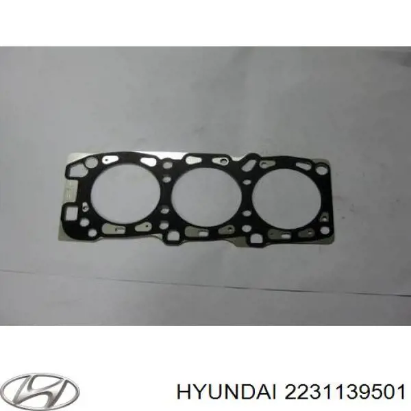 Купить 2231139501 Hyundai/Kia Правая прокладка ГБЦ