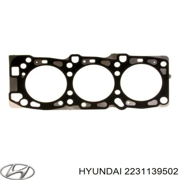 Junta de culata izquierda 2231139502 Hyundai/Kia