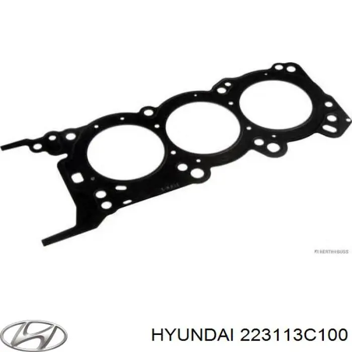 Прокладка головки блока цилиндров (ГБЦ), левая Hyundai/Kia 223113C100 цена, от 11.05 USD