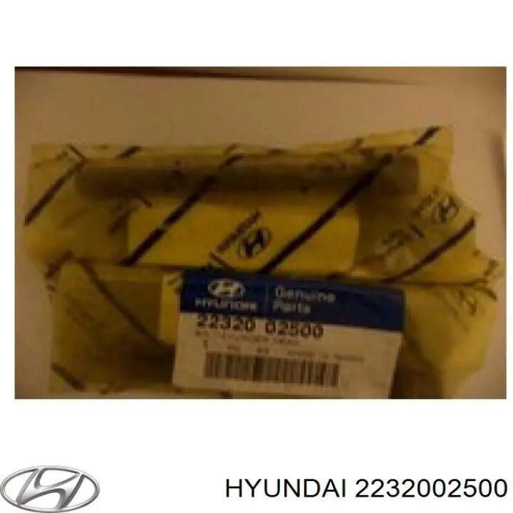 Болт ГБЦ 2232002500 Hyundai/Kia