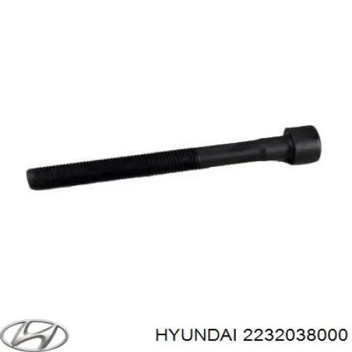 Болт головки блока цилиндров, ГБЦ Hyundai/Kia 2232038000 цена, от 5.83 USD