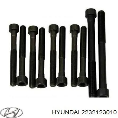 2232123010 Hyundai/Kia parafuso de cabeça de motor (cbc)