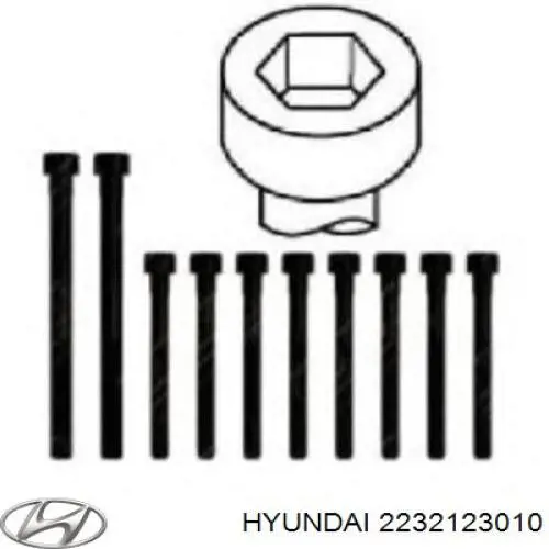 Болт головки блока цилиндров, ГБЦ Hyundai/Kia 2232123010 цена, от 4.95 USD