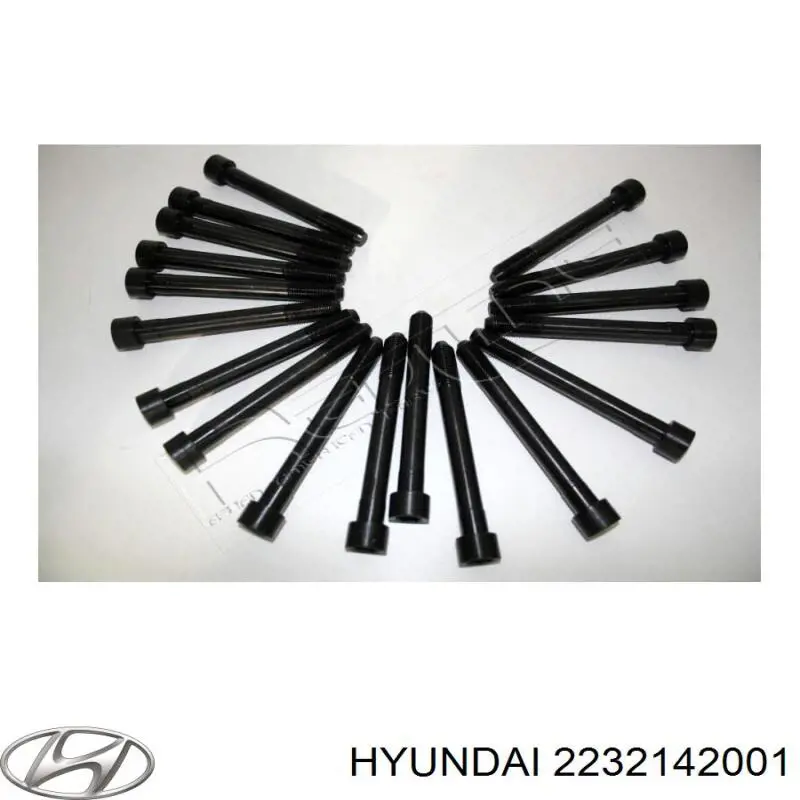 2232142001 Hyundai/Kia болт гбц