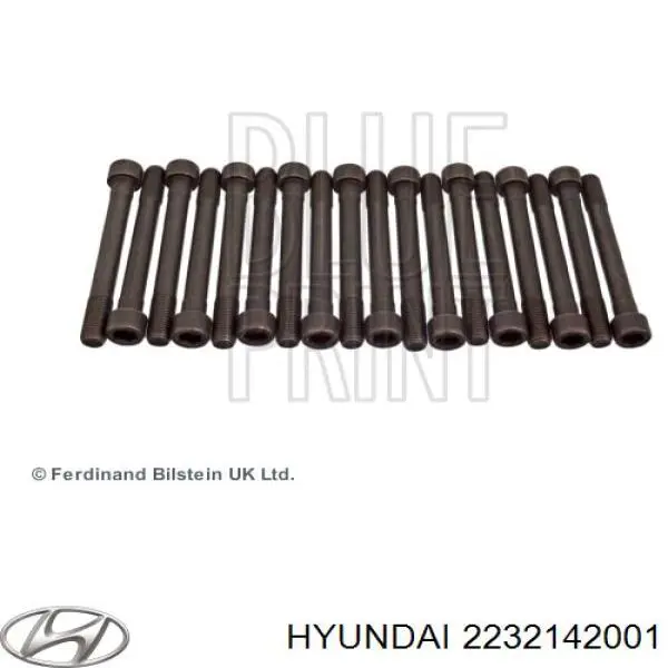 Tornillo culata 2232142001 Hyundai/Kia