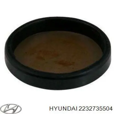 2232735504 Hyundai/Kia tampão cbc/do bloco de cilindros