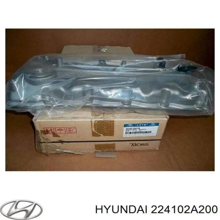 Купить 224102A200 Hyundai/Kia Клапанная крышка