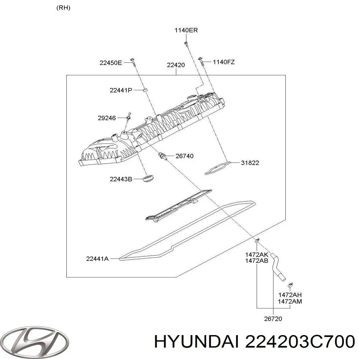 224203C700 Hyundai/Kia Крышка клапанная правая