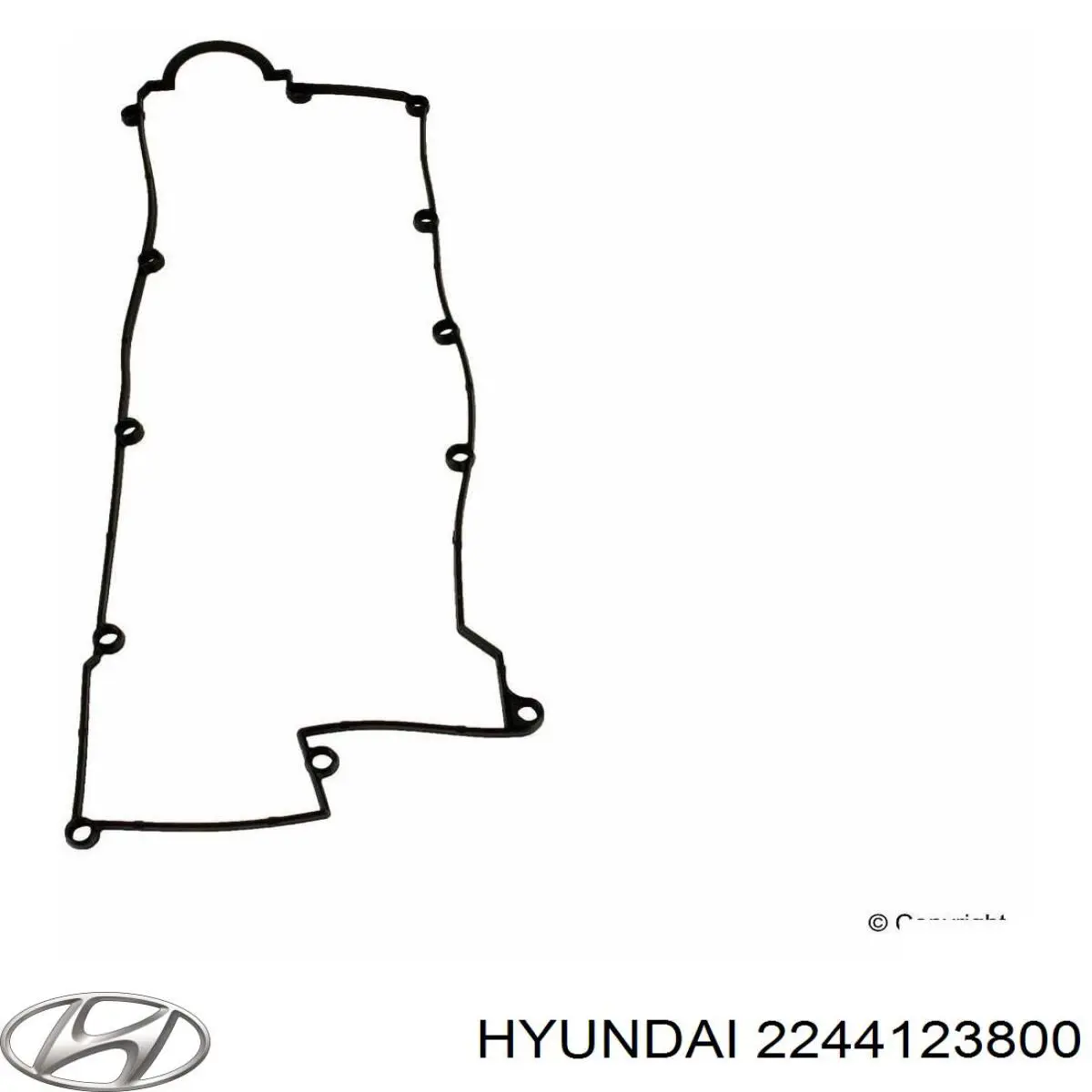 Клапанная прокладка Hyundai/Kia 2244123800