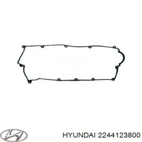 Прокладка клапанной крышки 2244123800 Hyundai/Kia