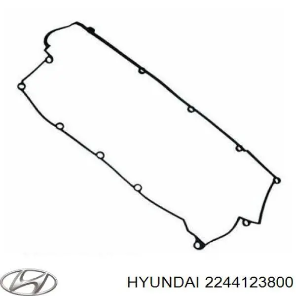 2244123800 Hyundai/Kia Прокладка крышки клапана