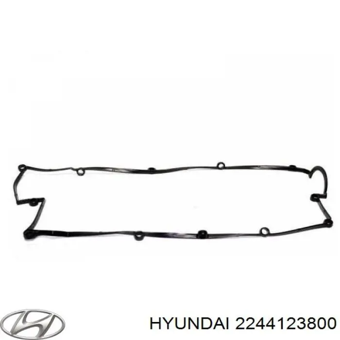 Купить 2244123800 Hyundai/Kia Прокладка клапанной крышки двигателя
