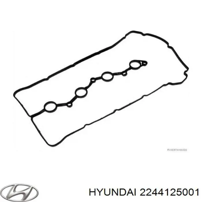 2244125001 Hyundai/Kia прокладка клапанной крышки двигателя, комплект