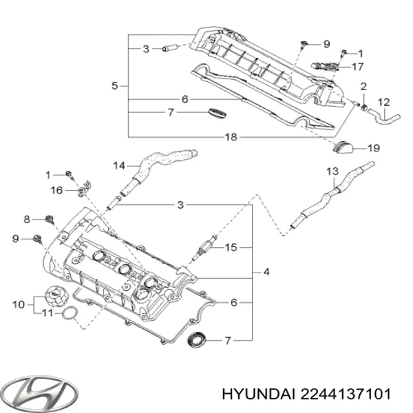 2244137101 Hyundai/Kia прокладка клапанной крышки