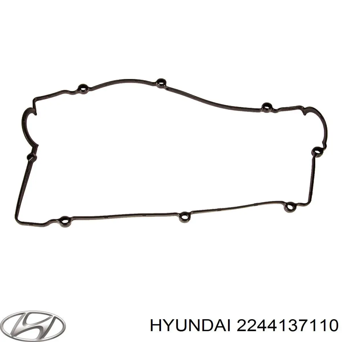 Vedante de tampa de válvulas de motor 2244137110 Hyundai/Kia