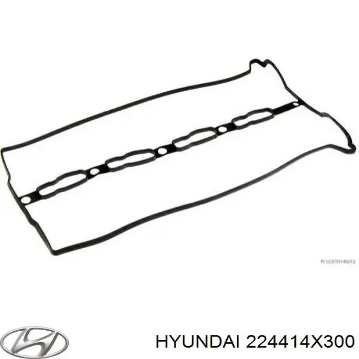 224414X300 Hyundai/Kia прокладка клапанной крышки