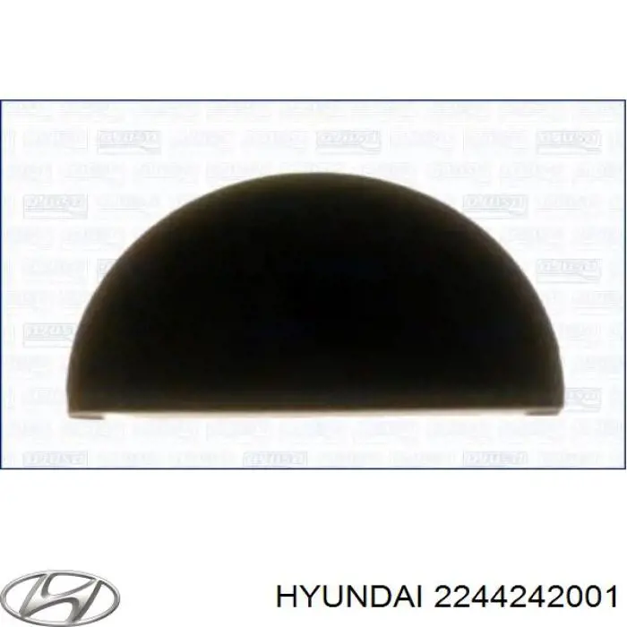 2244242001 Hyundai/Kia прокладка клапанной крышки двигателя, задний сегмент