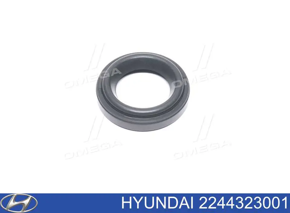 2244323001 Hyundai/Kia кольцо уплотнительное свечного колодца