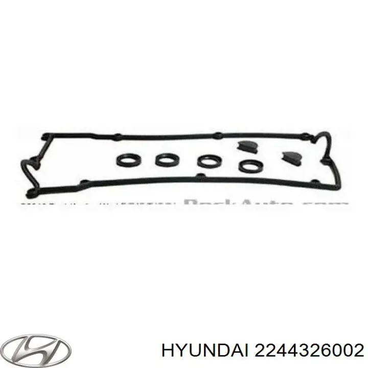2244326002 Hyundai/Kia vedante anular da cavidade de vela
