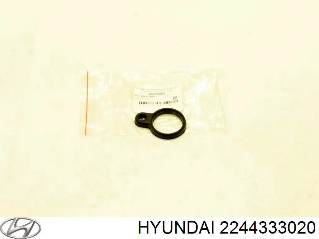 2244333020 Hyundai/Kia кольцо уплотнительное свечного колодца