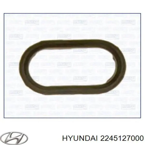 2245127000 Hyundai/Kia кольцо (шайба форсунки инжектора посадочное)