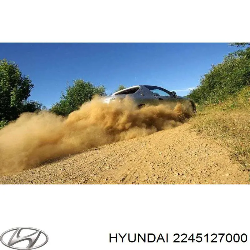 Уплотнитель форсунок Hyundai/Kia 2245127000 цена, от 2.01 USD