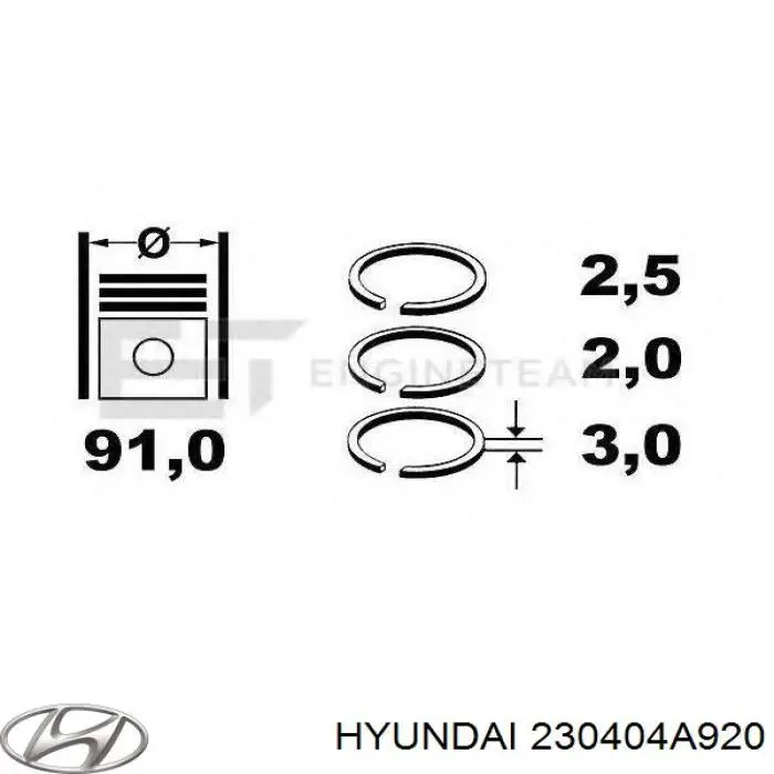 230404A920 Hyundai/Kia