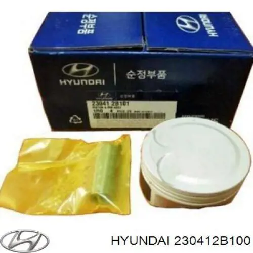 230412B100 Hyundai/Kia 