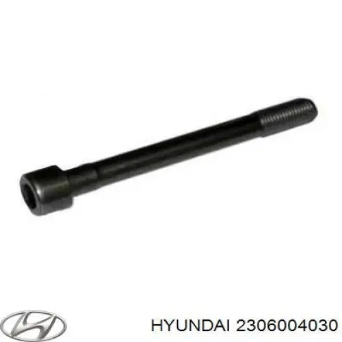 Шатунные вкладыши коленчатого вала Hyundai/Kia 2306004030 цена, от 11.14 USD
