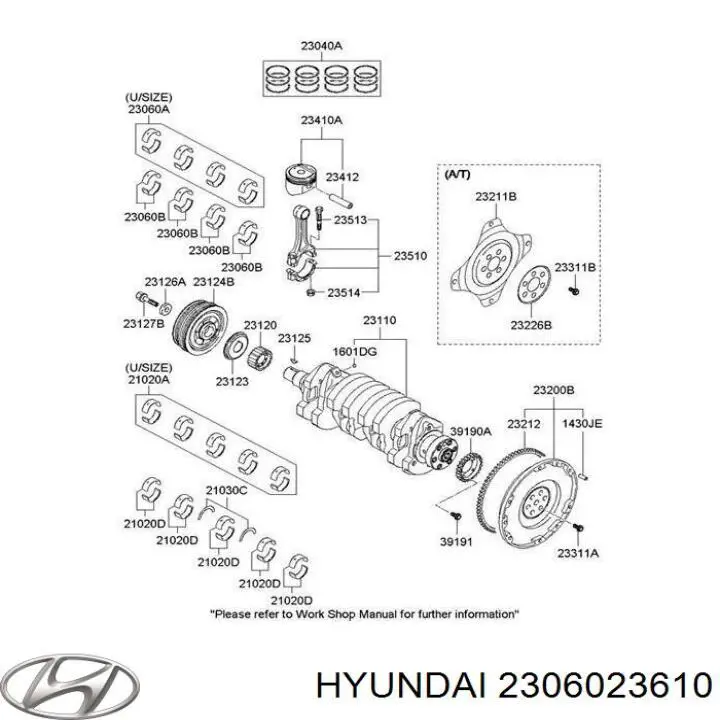 Вкладыши шатунные 2306023610 Hyundai/Kia