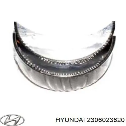 2306023620 Hyundai/Kia вкладыши коленвала шатунные, комплект, стандарт (std)