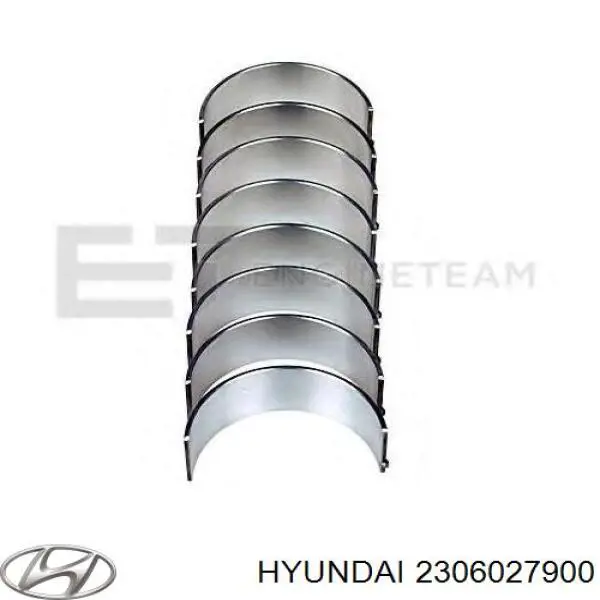 2306027900 Hyundai/Kia вкладыши коленвала шатунные, комплект, стандарт (std)