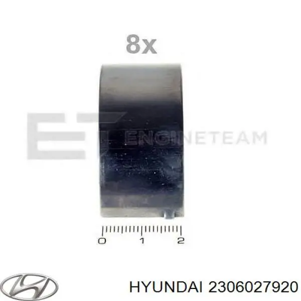 Вкладыши коленвала шатунные, комплект, стандарт (STD) Hyundai/Kia 2306027920