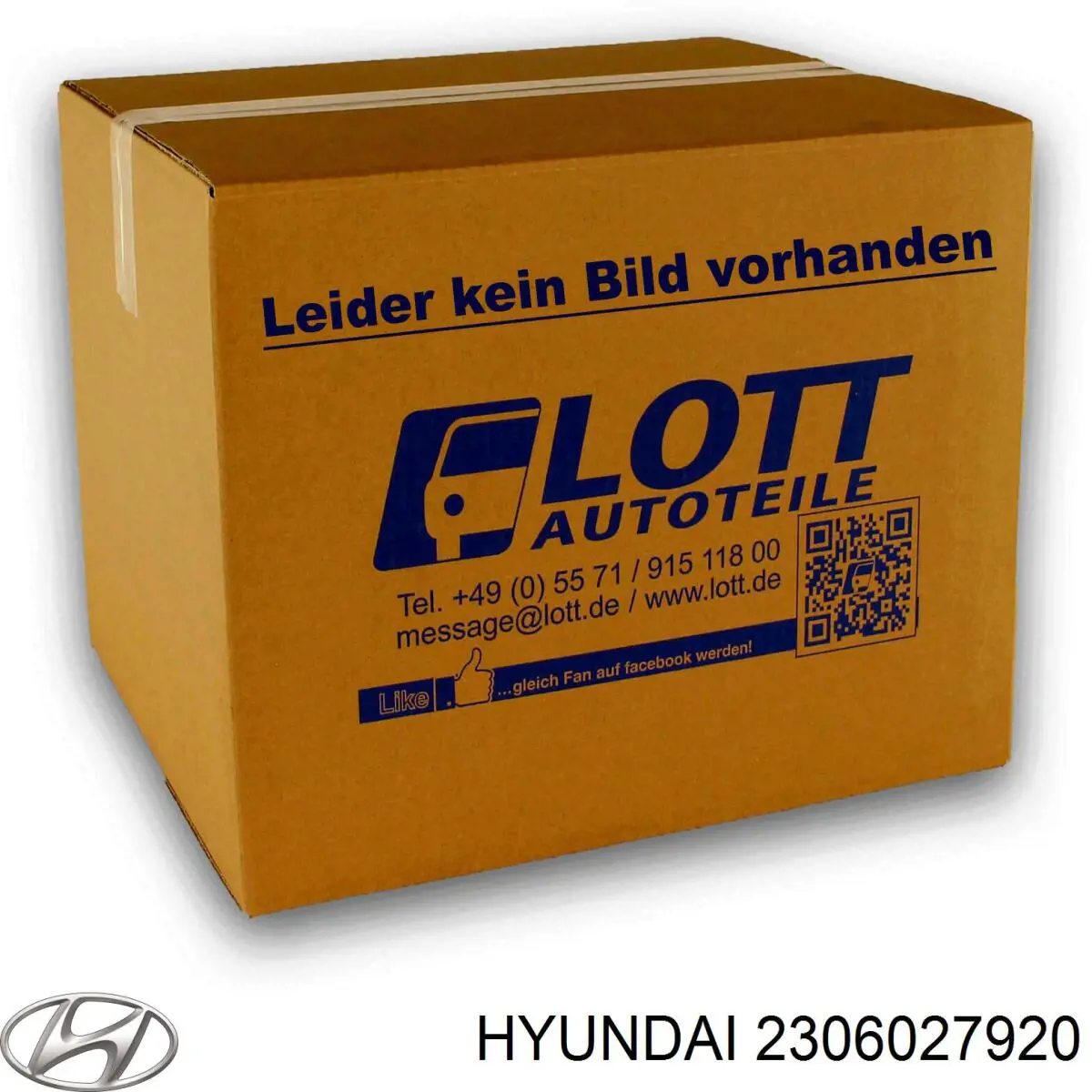 Шатунные вкладыши коленчатого вала Hyundai/Kia 2306027920 цена, от 7.10 USD