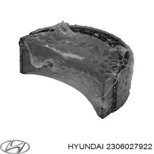 Вкладыши коленвала шатунные, комплект, стандарт (STD) Hyundai/Kia 2306027922