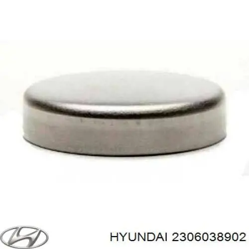 Купить 2306038900 Hyundai/Kia Вкладыши шатунные, 1-й ремонт