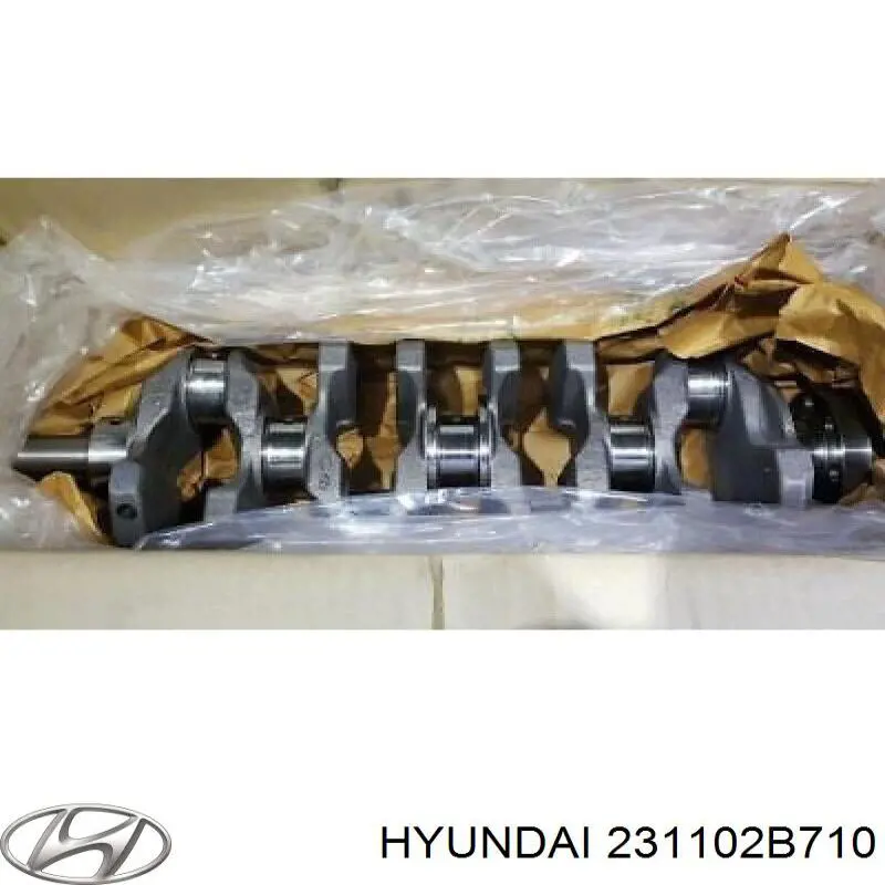 231102B710 Hyundai/Kia cambota de motor