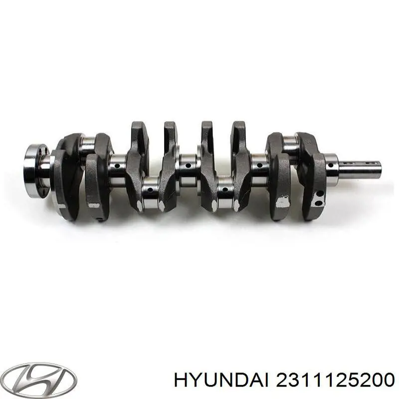 Cambota de motor Hyundai H-1 STAREX Starex TQ